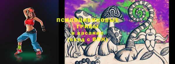 молекула духа Новокубанск