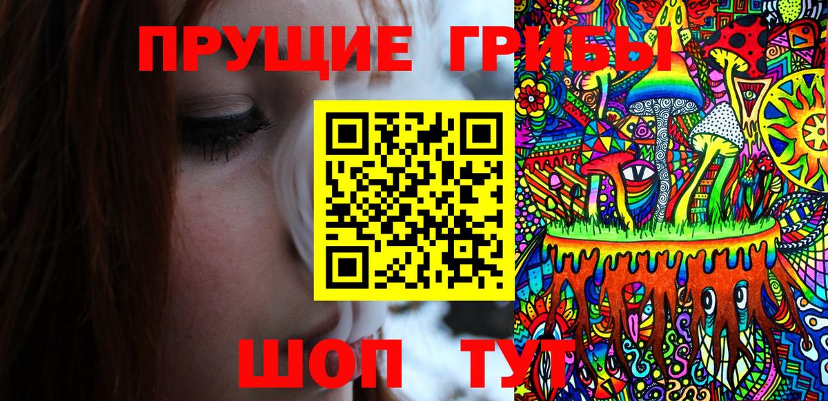 Галлюциногенные грибы MAGIC MUSHROOMS  Вход с VPN  Казань 