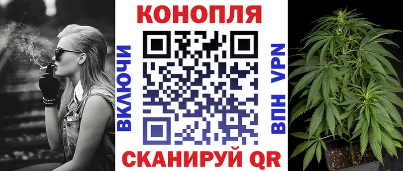 Каннабис планчик Казань